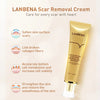 LANBENA Hot Sale Herbal Scar Acne Mark Removal Gel Skin Smooth Repair Gel Ointment